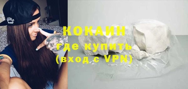 индика Армянск