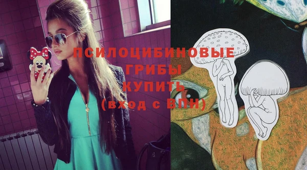 индика Армянск