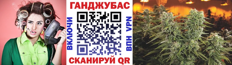 Каннабис гибрид  Заозёрный 